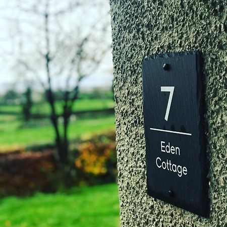 Eden Cottage Lisburn Zewnętrze zdjęcie