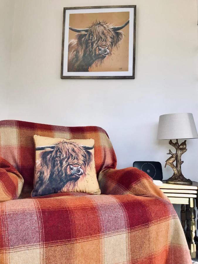 Eden Cottage Lisburn Zewnętrze zdjęcie
