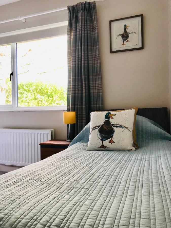 Eden Cottage Lisburn Zewnętrze zdjęcie