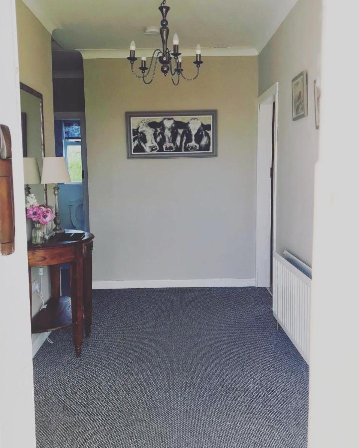 Eden Cottage Lisburn Zewnętrze zdjęcie